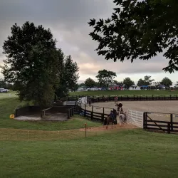 Kihikihi Domain - Te Awamutu