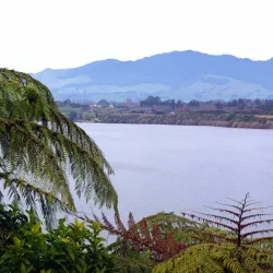 Maungatautari Ecological Island - Te Awamutu