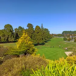Te Awamutu Golf Club - Te Awamutu