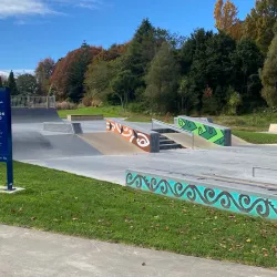 Te Awamutu Skatepark - Te Awamutu