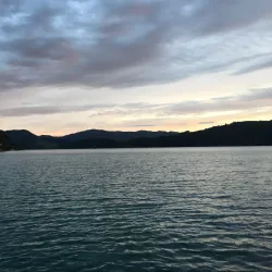 Coromandel Coastal Walkway - Thames
