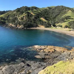 Coromandel Coastal Walkway - Thames