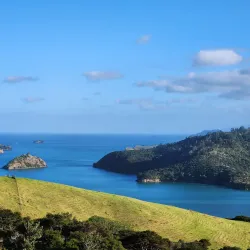 Coromandel Coastal Walkway - Thames