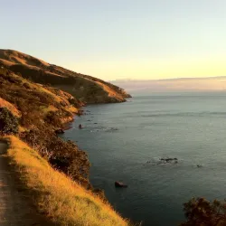 Coromandel Coastal Walkway - Thames