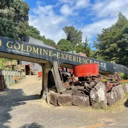Goldmine Experience - Thames