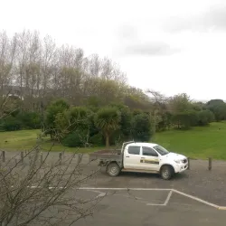 Waikawau Bay - Thames