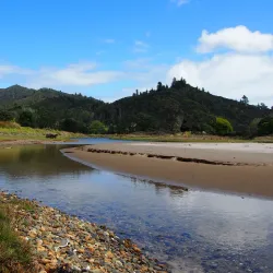 Waikawau Bay - Thames