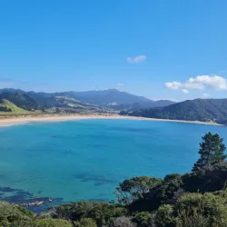 Waikawau Bay - Thames