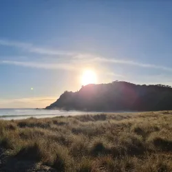 Waikawau Bay - Thames