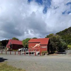 Waikawau Bay - Thames