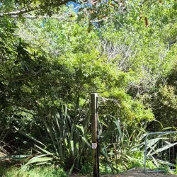 Waikawau Bay - Thames