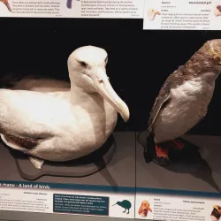 South Canterbury Museum - Timaru