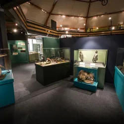 South Canterbury Museum - Timaru