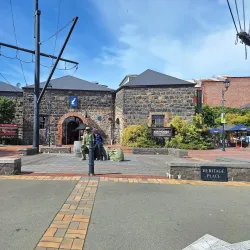 Te Ana Maori Rock Art Centre - Timaru