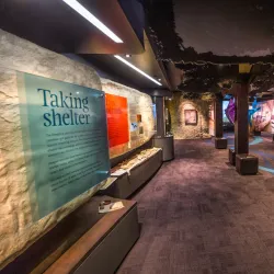 Te Ana Maori Rock Art Centre - Timaru