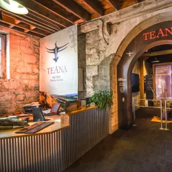 Te Ana Maori Rock Art Centre - Timaru