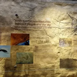 Te Ana Maori Rock Art Centre - Timaru