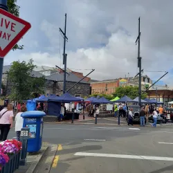 Te Ana Maori Rock Art Centre - Timaru
