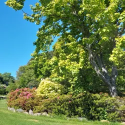 Timaru Botanic Gardens - Timaru