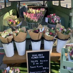 Timaru Farmers Market - Timaru