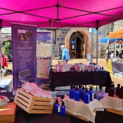 Timaru Farmers Market - Timaru