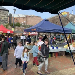 Timaru Farmers Market - Timaru