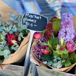 Timaru Farmers Market - Timaru