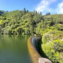 Akatarawa Forest - Upper Hutt