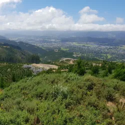 Akatarawa Forest - Upper Hutt