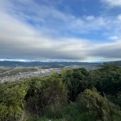 Akatarawa Forest - Upper Hutt