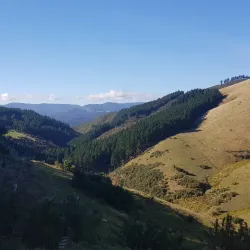 Akatarawa Forest - Upper Hutt
