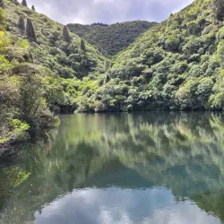 Akatarawa Forest - Upper Hutt