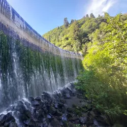 Akatarawa Forest - Upper Hutt