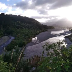 Akatarawa Forest - Upper Hutt