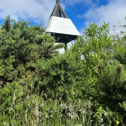 Akatarawa Forest - Upper Hutt