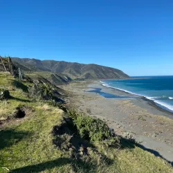 Baring Head Lighthouse and Regional Park - Upper Hutt