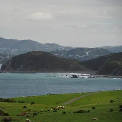 Baring Head Lighthouse and Regional Park - Upper Hutt