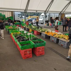 Harley Street Craft Market - Upper Hutt