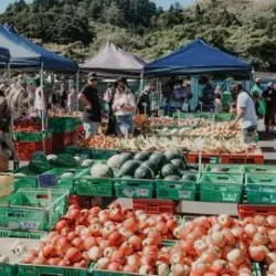 Harley Street Craft Market - Upper Hutt