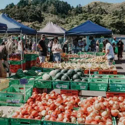 Harley Street Craft Market - Upper Hutt