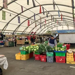 Harley Street Craft Market - Upper Hutt