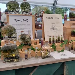 Harley Street Craft Market - Upper Hutt