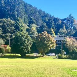 Pinehaven Reserve - Upper Hutt