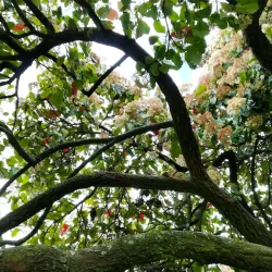 Pinehaven Reserve - Upper Hutt