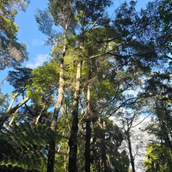 Pinehaven Reserve - Upper Hutt