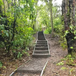 Pinehaven Reserve - Upper Hutt