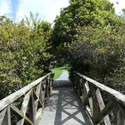 Pinehaven Reserve - Upper Hutt