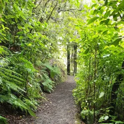 Pinehaven Reserve - Upper Hutt