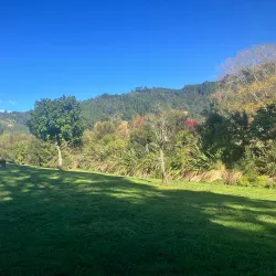 Pinehaven Reserve - Upper Hutt