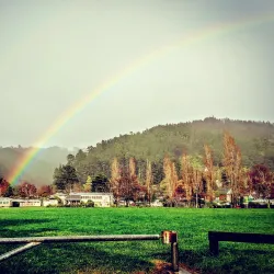 Pinehaven Reserve - Upper Hutt